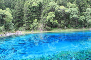 梦幻蓝湖 森林环绕之美景