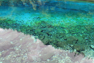 清澈水底的繁茂绿色水草