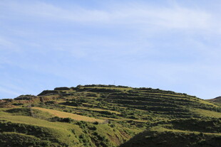 山坡绿意盎然的田园风光