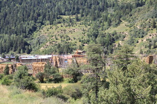 山间村落隐于葱郁林木间