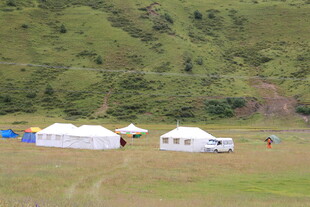 草原上的白色帐篷营地