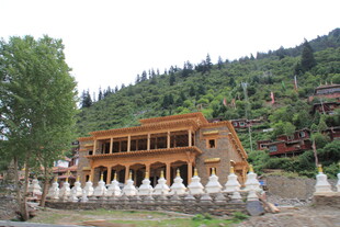 山间藏式建筑与白塔景观