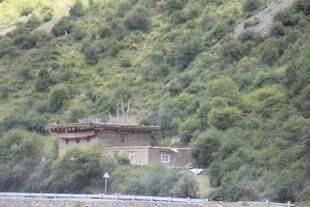 山间小屋隐于葱郁山林