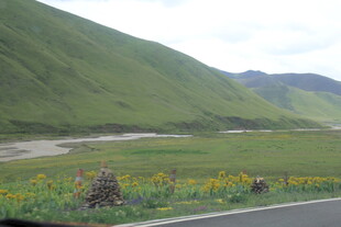 山间公路旁的绚烂花海