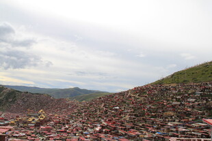 垃圾堆积的荒野场景