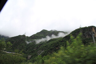 山间云雾缭绕的翠绿景致