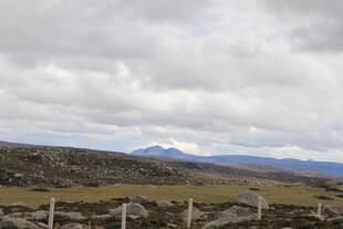 草原远景 天边山峦隐现