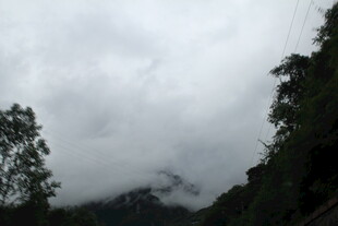 云雾缭绕的山林景色