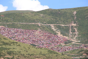 山坡上的密集建筑群