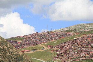 山坡上错落有致的房屋