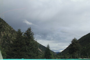 山间云景 葱郁林木