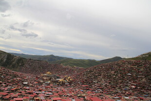 红色花海中的山野风光