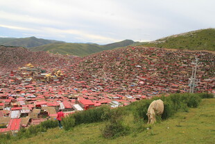 色达佛学院壮观景象