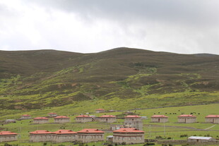 草原上的红顶房屋群落