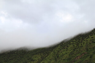 云雾缭绕的翠绿山峦