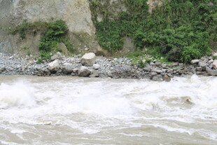 湍急河流旁的自然景致