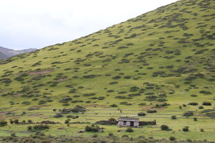 山间小屋 绿意盎然的景致