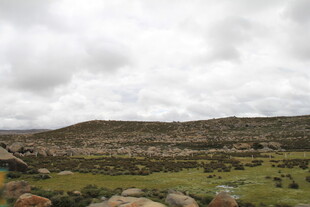 山间草地 云雾缭绕之景