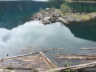 湖畔散落的木材景观