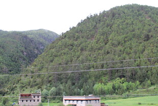 山间村落 绿意盎然的景致