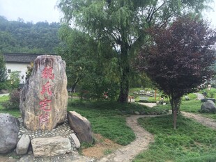 园林景致中的石刻与绿树