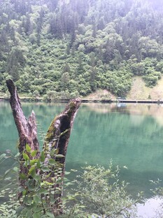 山林间静谧的碧绿湖水