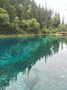 梦幻蓝绿湖水与葱郁山林