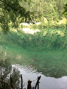 清幽河畔绿意浓