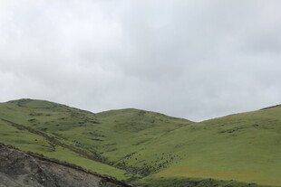 翠绿山峦 云雾缭绕之景