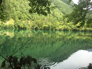 静谧绿湖 山林倒影如画