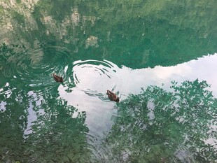 青山绿水间的竹筏漂流