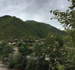 山间村落绿意盎然风光美