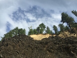 黄土坡上的绿树与蓝天