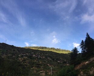 山间蓝天绿树美景