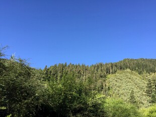 青山绿树蓝天自然美景