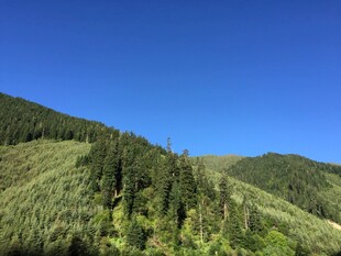 青山绿树间的蓝天美景