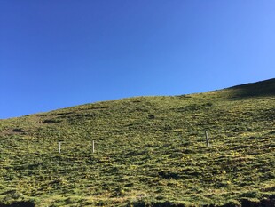 蓝天映衬下的翠绿山坡