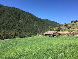 山间绿野中的静谧小屋