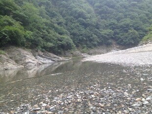 山间清澈小河 河岸碎石