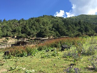 山间绿野溪流自然美景