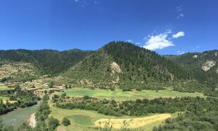 山间绿野风景图