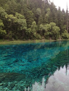 梦幻蓝湖 森林环绕之景