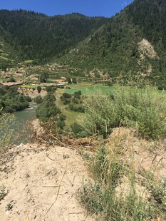 山间绿意盎然的自然景致