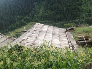 山间老旧屋顶 绿植环绕