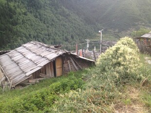 山间木屋 隐于绿野之中