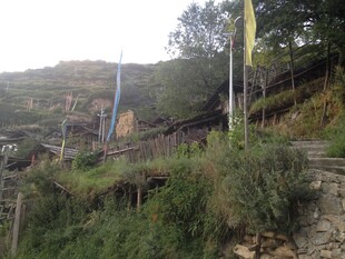 山间路旁飘扬的黄色旗帜