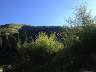 山间葱郁植被 蓝天背景