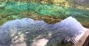 雪山与翠绿山谷景观