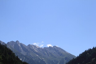 巍峨雪山与葱郁山林