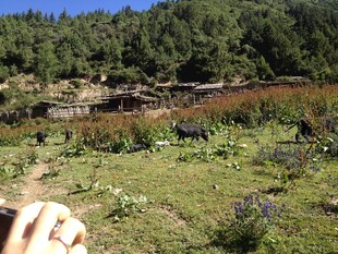 山间绿野中的村落景象